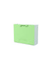 Dulap depozitare pantofi 1 modul ArtPlast 510x173x401 mm, Verde